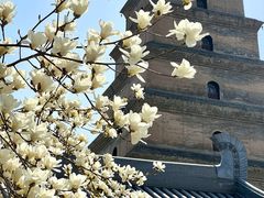 -大慈恩寺(大雁塔)