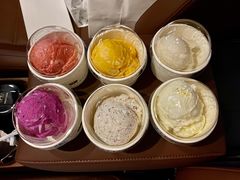 -BLACKSWAN黑天鹅(环球店)