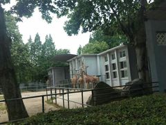 -无锡动物园·太湖欢乐园