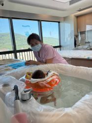 -禧月荟S月子中心(侨城店)