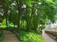 -成都市活水公园