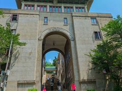 -武汉大学-樱园