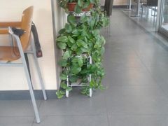 大堂-李先生牛肉面大王(东营友谊广场店)