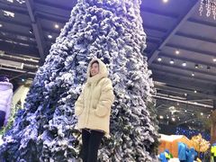 -宁波冰雪大世界(北仑区)