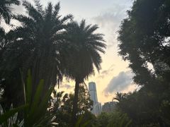 -九龙公园