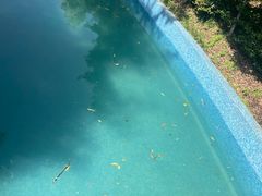 -金孔雀温泉旅游度假村