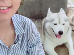 -TrueLove @ Neverland (Husky Cafe)