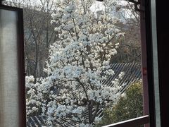 -郑和公园