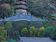 -深圳国际园林花卉博览园