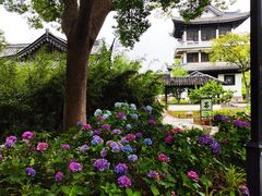 -无锡蠡湖国家湿地公园-蠡园