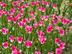 -长春公园(普阳街道)