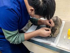 -仁华宠物医院(青羊店)