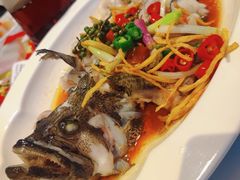 -滋粥楼·顺德菜(番禺广场总店)