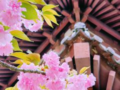 -西安青龙寺遗址景区