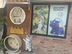 -豆逗聊愈猫阁Easy Life