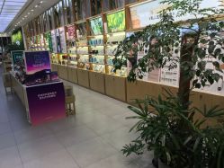 -悦诗风吟innisfree