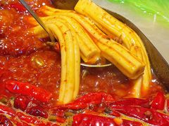 -阳阳老火锅(小南门店)