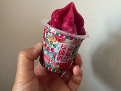 -洋洋爸雪糕(万科店)