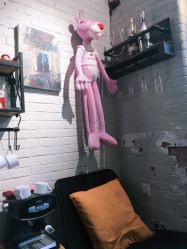 -SALON V
