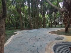 -南宁南湖公园