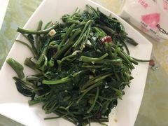 -谭家菜农夫山庄