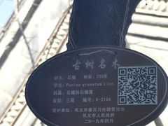 -康百万庄园
