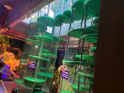 -恐龙探索乐园(磁器口店)