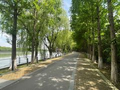 -太阳岛旅游度假区