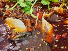 -老表牌·蛙蛙鸡冷锅鱼(成都东站店)