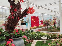 -上海鲜花港