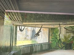-杭州野生动物世界