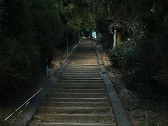 -长沙黑麋峰国家森林公园