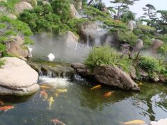 -罗红摄影艺术馆