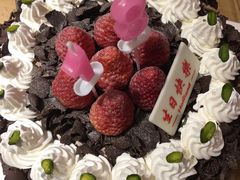 -蒲公英(五里店)