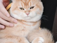 -小芳廷餐厅