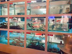 -石锅苗苗鱼(武汉首店)
