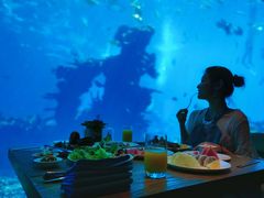 -海棠湾洲际-涛·海底餐厅·美人鱼·自助餐·海底隧道