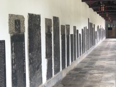 -苏州文庙(姑苏区)