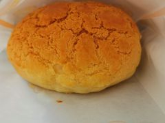 -洪九公(田子坊店)