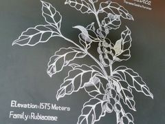 -星巴克(北京惠新东街店)