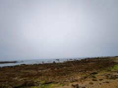 -青岛金沙滩希尔顿酒店·自助餐厅