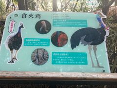 -昆明动物园