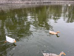 -迎泽公园