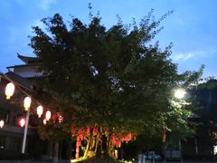 -阿依河景区