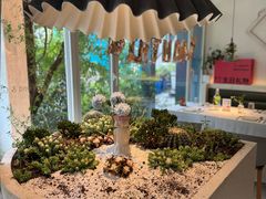 -春树下·树屋花房西餐厅(罍街AS1980店)