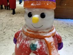 -宁波冰雪大世界(北仑区)