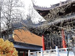 -灵谷景区