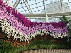 -石家庄市植物园