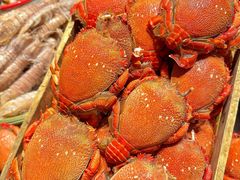 -安蒂娅·海鲜自助餐厅(安蒂娅美兰酒店)