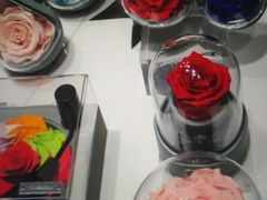 -ROSEONLY诺誓(沈阳万象城店)